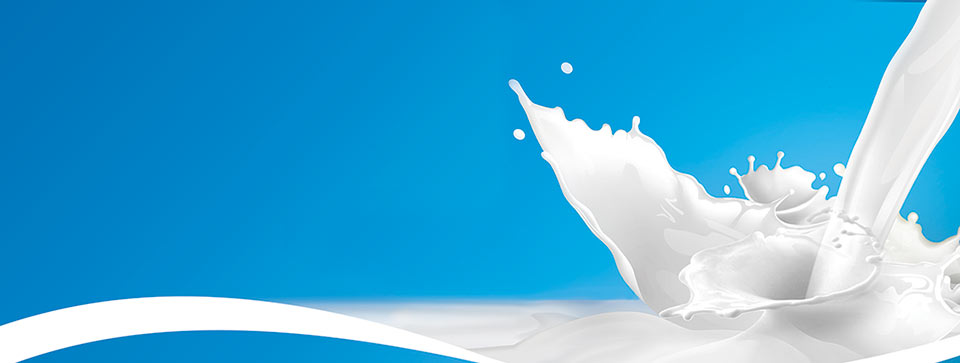 Hug-Me Baby Formula